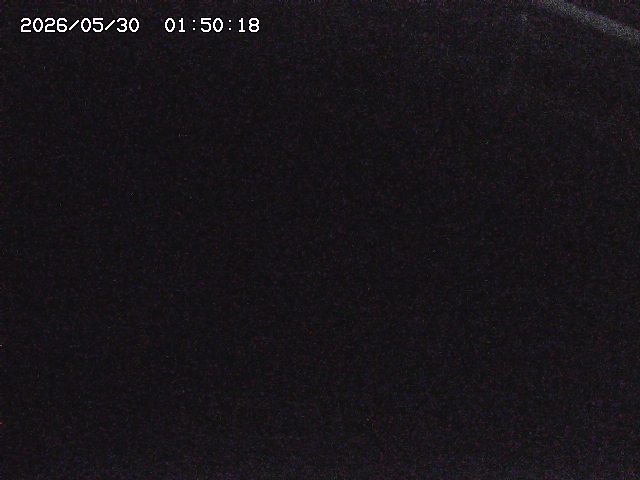 八河谷川１2026/05/30 3:30:00