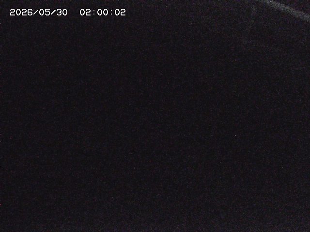 八河谷川１2026/05/30 3:30:00