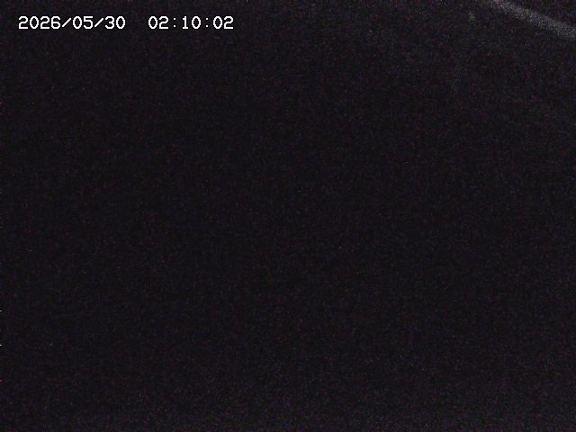 八河谷川１2026/05/30 3:30:00