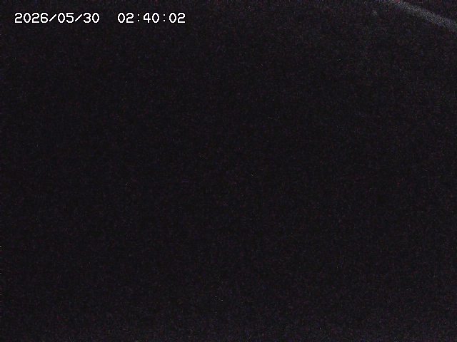 八河谷川１2026/05/30 3:30:00