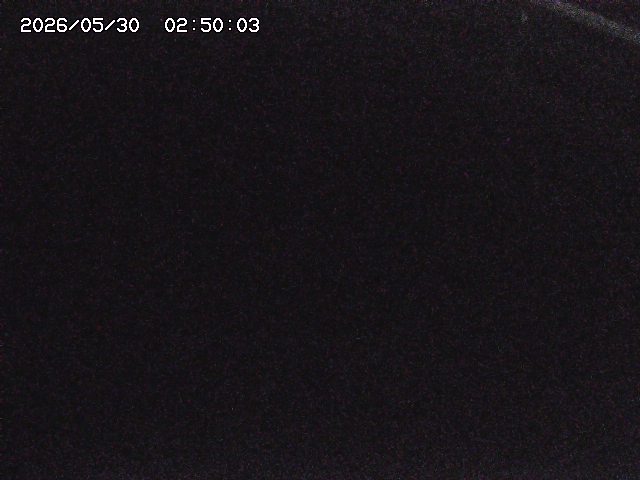 八河谷川１2026/05/30 3:30:00