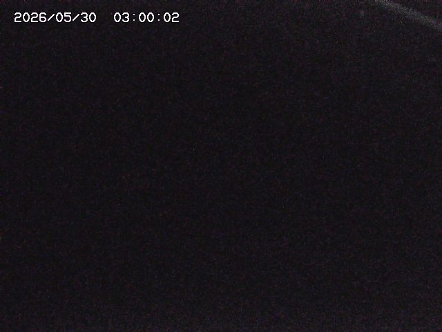 八河谷川１2026/05/30 3:30:00