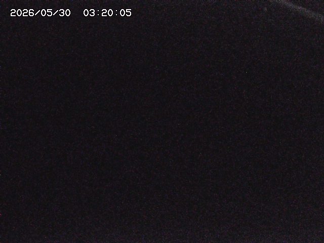 八河谷川１2026/05/30 3:30:00