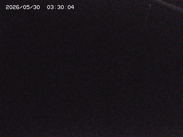 八河谷川１2026/05/30 3:30:00
