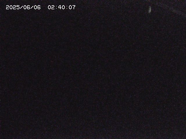 八河谷川１2025/06/06 2:50:00
