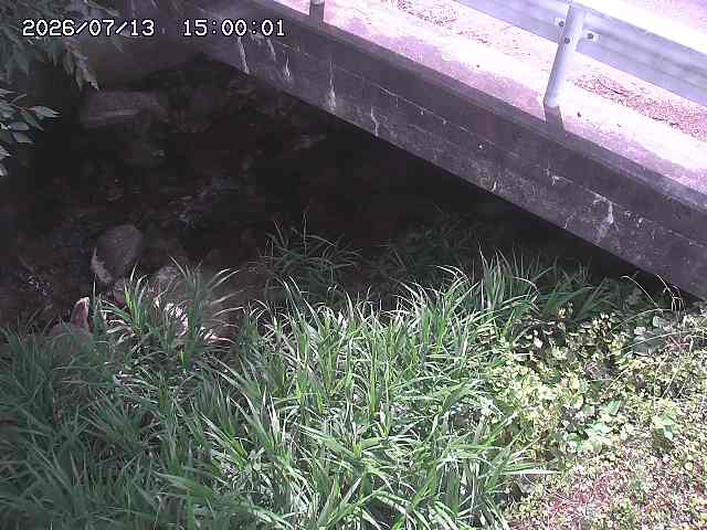 八河谷川１2026/07/14 15:20:00