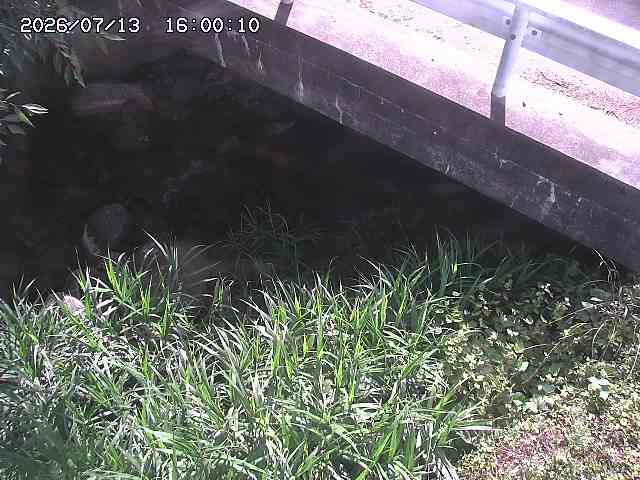 八河谷川１2026/07/14 15:20:00