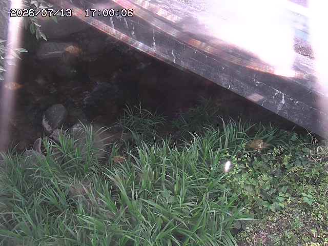 八河谷川１2026/07/14 15:20:00