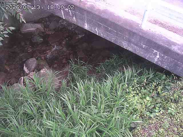 八河谷川１2026/07/14 15:20:00