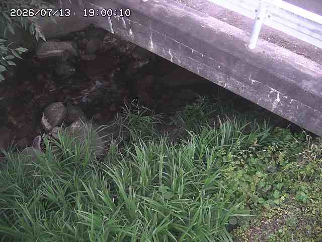 八河谷川１2026/07/14 15:20:00