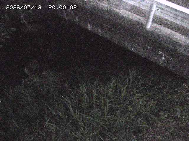 八河谷川１2026/07/14 15:20:00