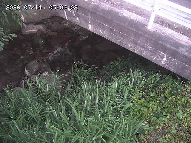 八河谷川１2026/07/14 15:20:00