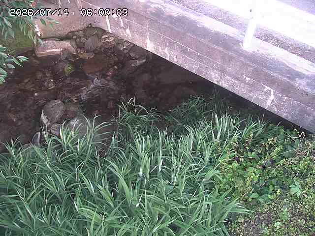 八河谷川１2026/07/14 15:20:00