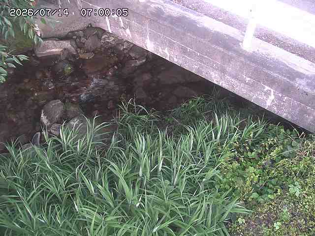八河谷川１2026/07/14 15:20:00