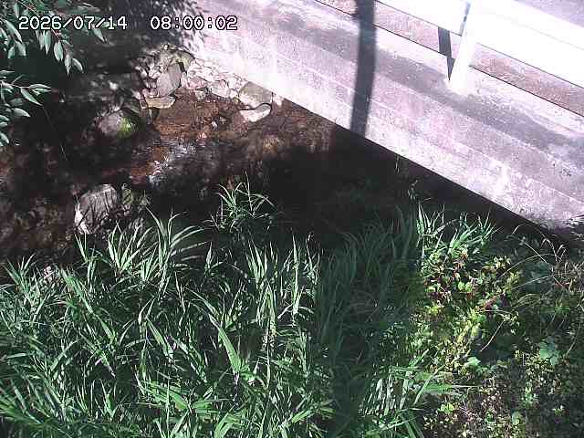 八河谷川１2026/07/14 15:20:00