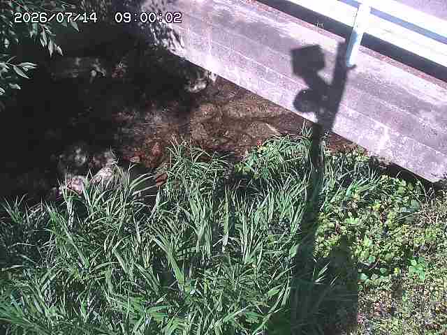 八河谷川１2026/07/14 15:20:00