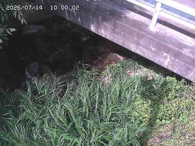 八河谷川１2026/07/14 15:20:00
