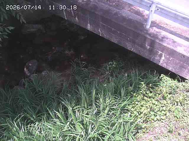八河谷川１2026/07/14 15:20:00