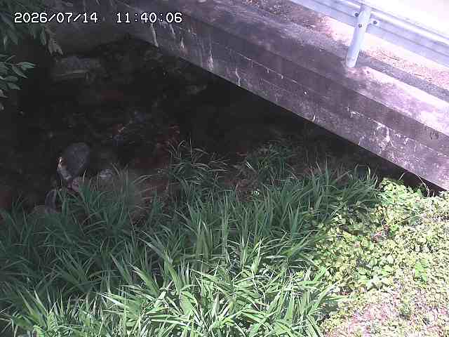 八河谷川１2026/07/14 15:20:00
