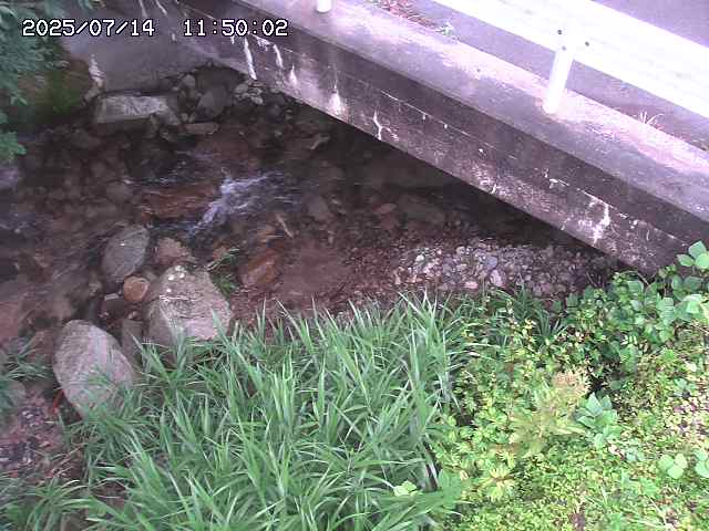 八河谷川１2026/07/14 15:20:00