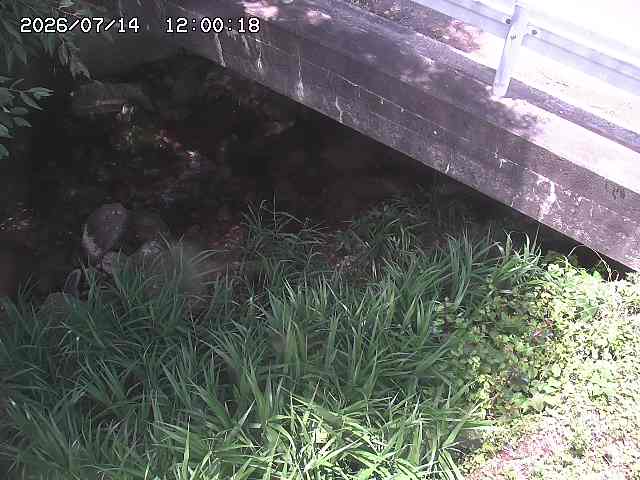 八河谷川１2026/07/14 15:20:00