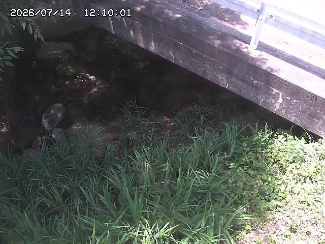八河谷川１2026/07/14 15:20:00