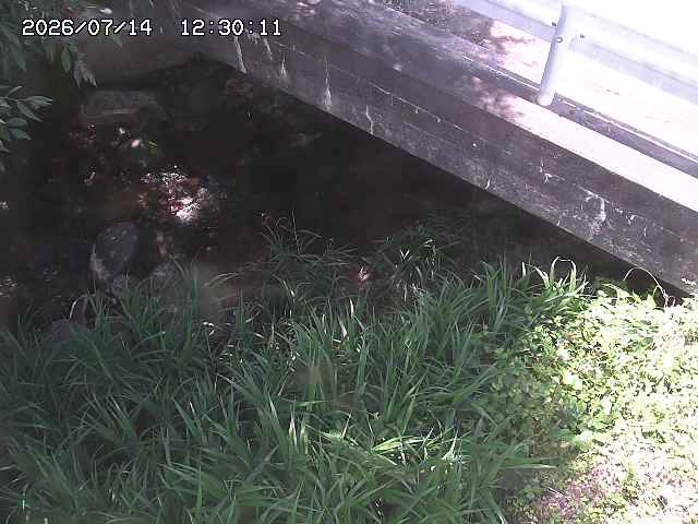 八河谷川１2026/07/14 15:20:00