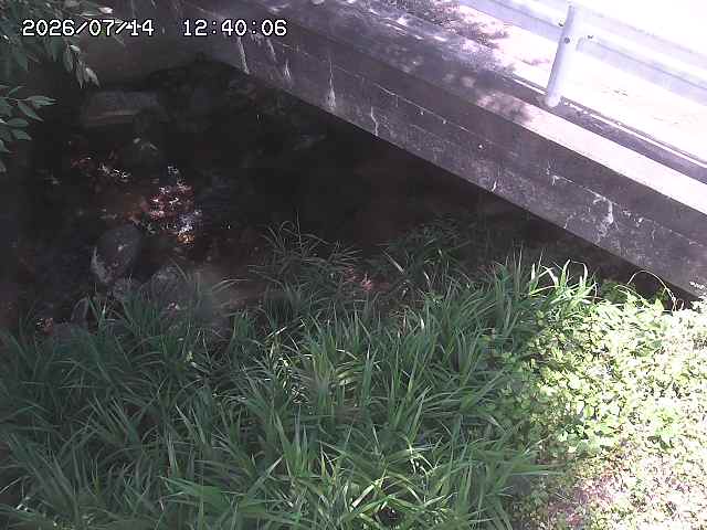 八河谷川１2026/07/14 15:20:00