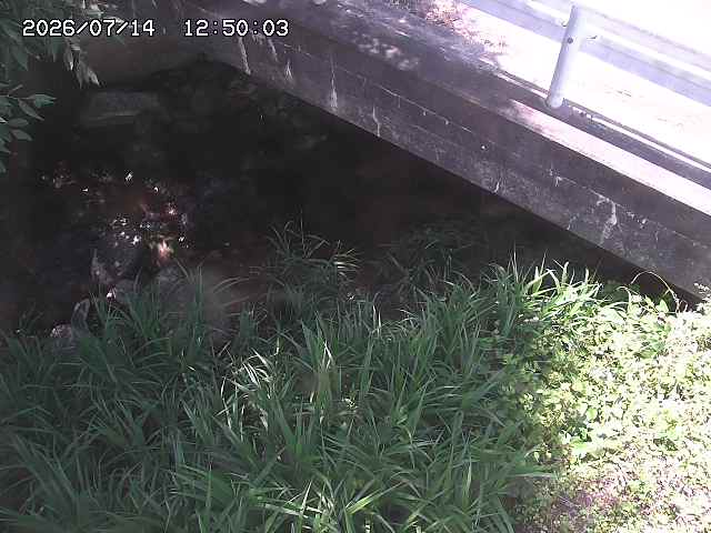 八河谷川１2026/07/14 15:20:00