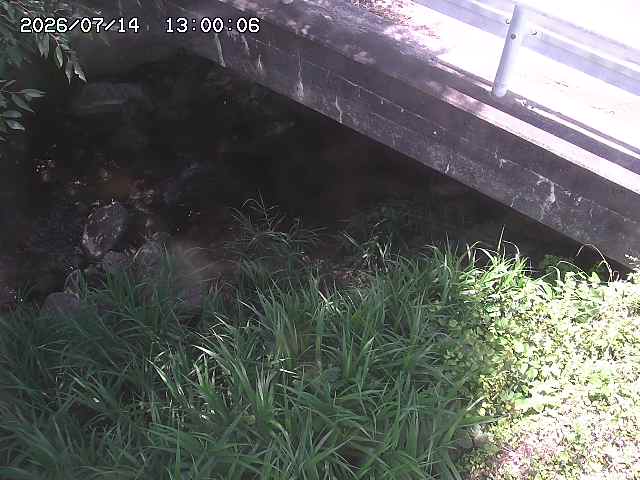 八河谷川１2026/07/14 15:20:00