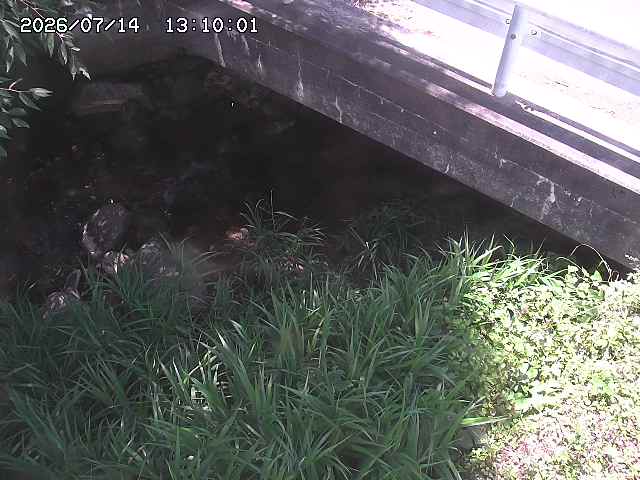 八河谷川１2026/07/14 15:20:00