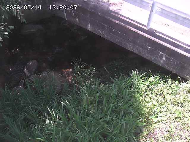 八河谷川１2026/07/14 15:20:00