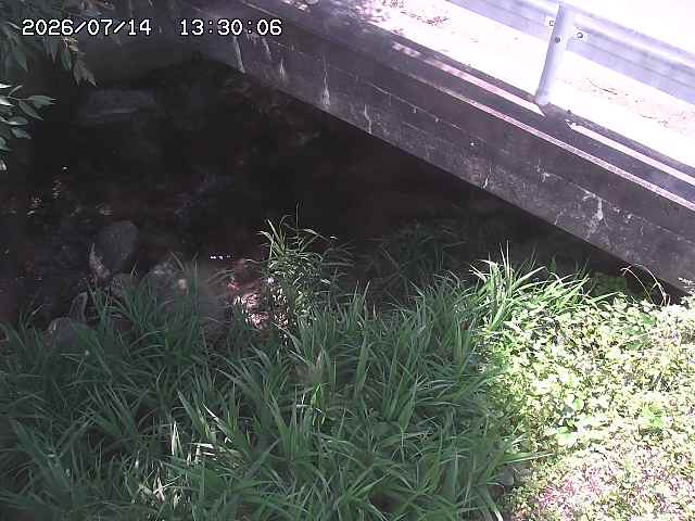 八河谷川１2026/07/14 15:20:00