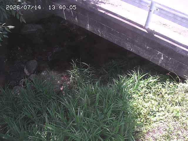 八河谷川１2026/07/14 15:20:00
