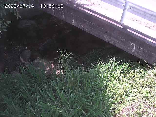 八河谷川１2026/07/14 15:20:00