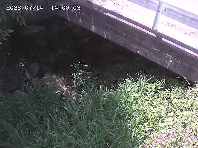 八河谷川１2026/07/14 15:20:00