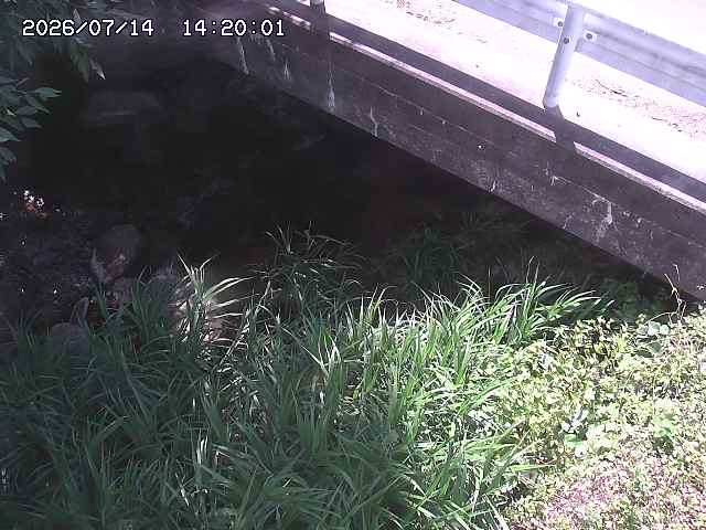 八河谷川１2026/07/14 15:20:00