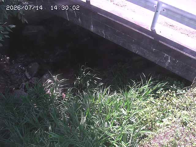 八河谷川１2026/07/14 15:20:00