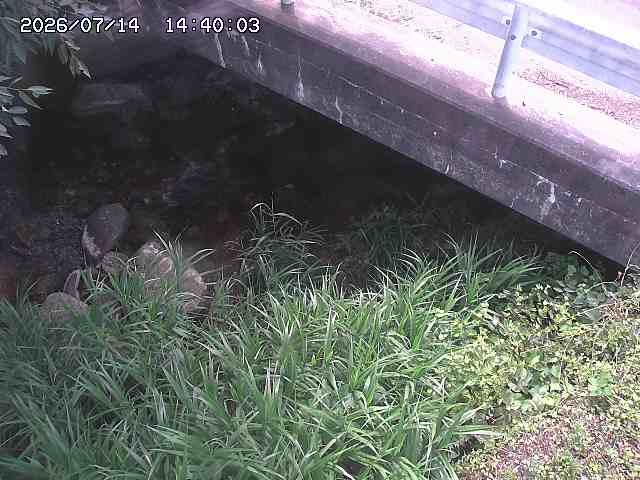 八河谷川１2026/07/14 15:20:00