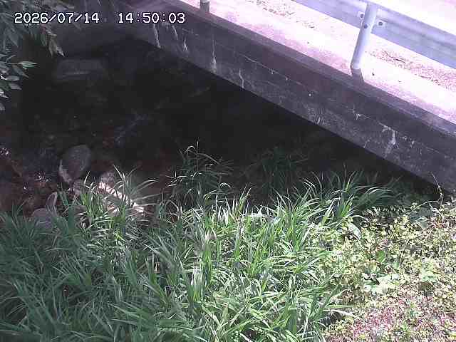八河谷川１2026/07/14 15:20:00
