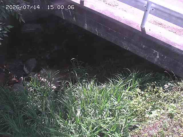 八河谷川１2026/07/14 15:20:00