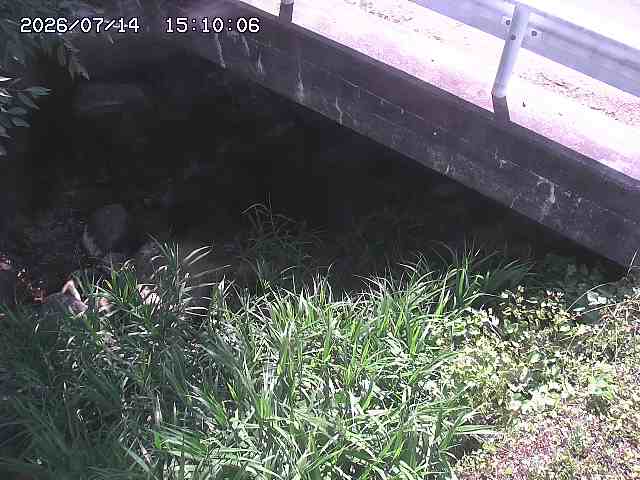 八河谷川１2026/07/14 15:20:00