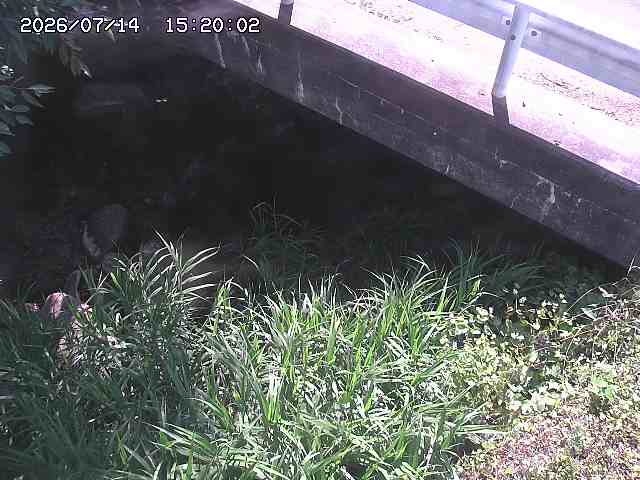 八河谷川１2026/07/14 15:20:00