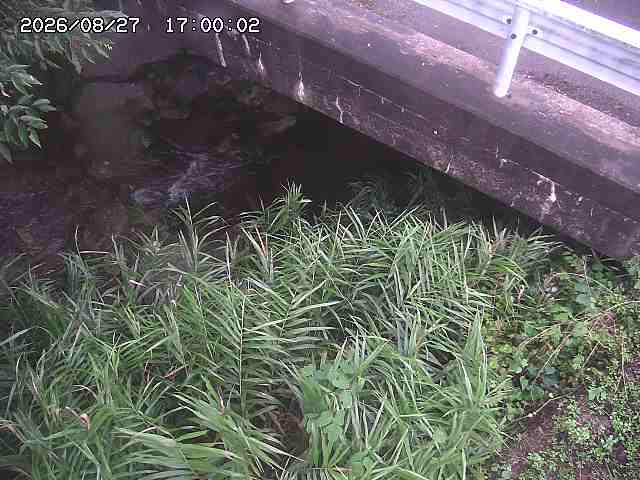 八河谷川１2026/08/28 17:00:00