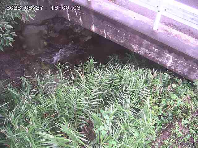 八河谷川１2026/08/28 17:00:00