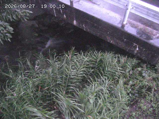 八河谷川１2026/08/28 17:00:00