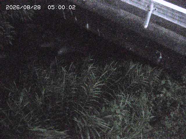 八河谷川１2026/08/28 17:00:00