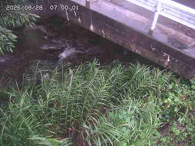 八河谷川１2026/08/28 17:00:00