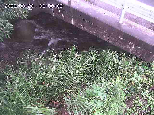 八河谷川１2026/08/28 17:00:00