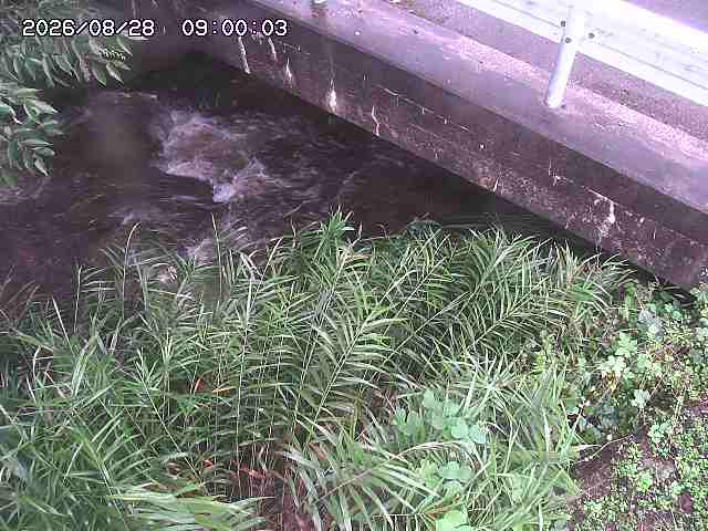 八河谷川１2026/08/28 17:00:00